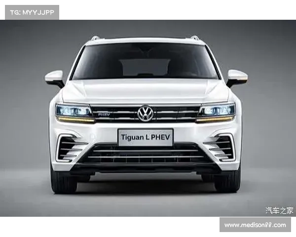 今天来拍拍邻居的白色途观L